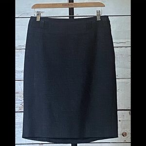 Classiques Entier Skirt, Size 4